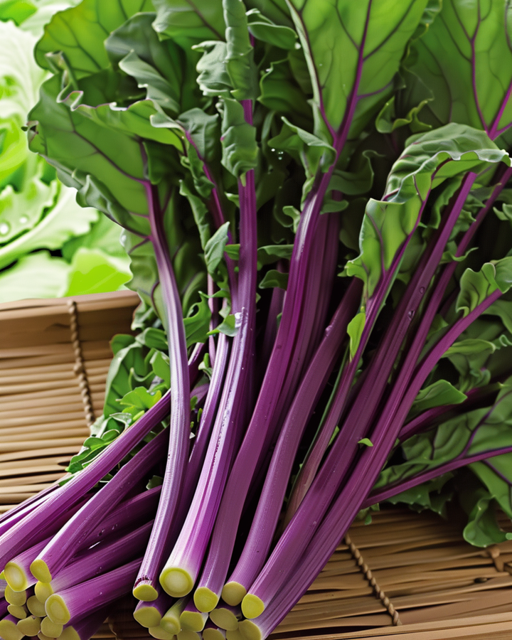 Hon Tsai Tai Purple Stems Samen (Brassica rapa) – einjährig