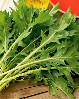 Mizuna Seeds Brassica Rapa Vegetable