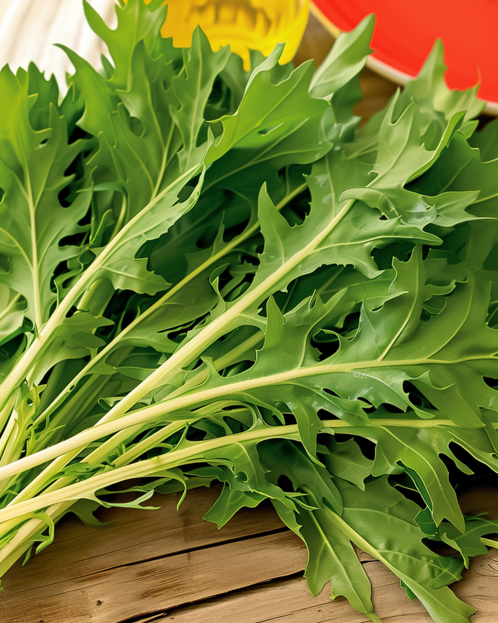 Mizuna seeds (Brassica rapa) – vegetable