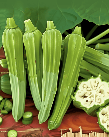 Okra Clemson Spineless Heirloom Samen (Abelmoschus esculentus) – einjähriges Gemüse