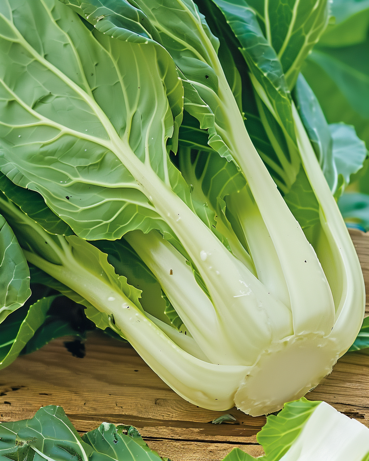 Pak Choi Samen (Brassica chinensis) – einjähriges Gemüse