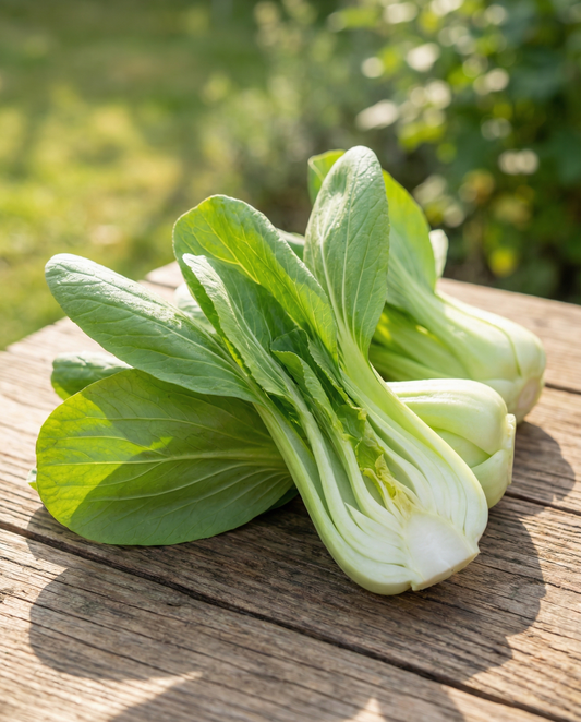 Pak Choi (Brassica chinensis) – einjährige Gemüsesamen von SeedsChoice
