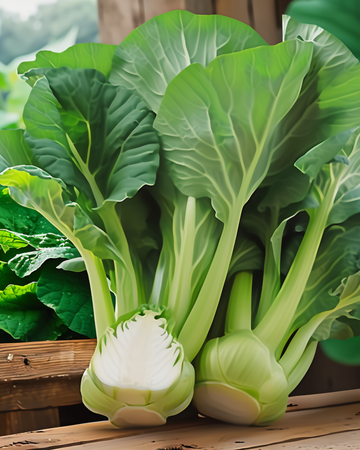 Pak Choi Green F1 seeds (Brassica pekinensis) – annual vegetable