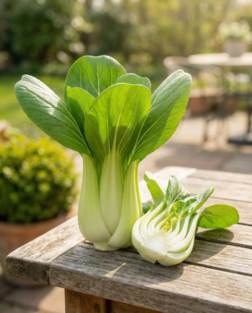 Pak Choi Green F1 (Brassica pekinensis) – annual vegetable seeds from SeedsChoice