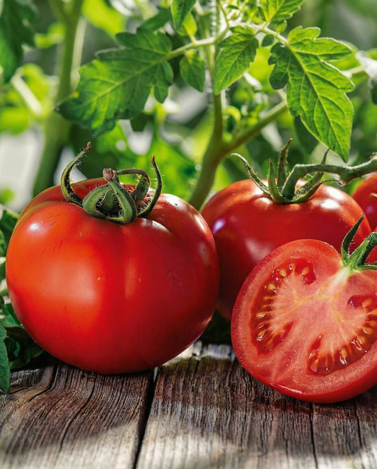 Tomate Marglobe (Solanum lycopersicum) – Gemüsesamen von SeedsChoice