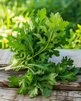 Wild Rocket Seeds Diplotaxis Tenuifolia Perennial Vegetable