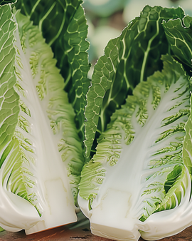 Chinese Cabbage Seeds Brassica Rapa Pe Tsai Vegetable