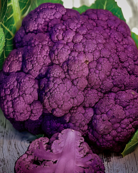 Cauliflower Seeds Sicily Violetto Brassica Oleracea Early Variety