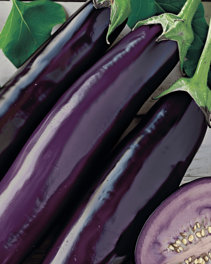 Eggplant Violetta Lunga Medium Early seeds (Solanum melongena) – vegetable