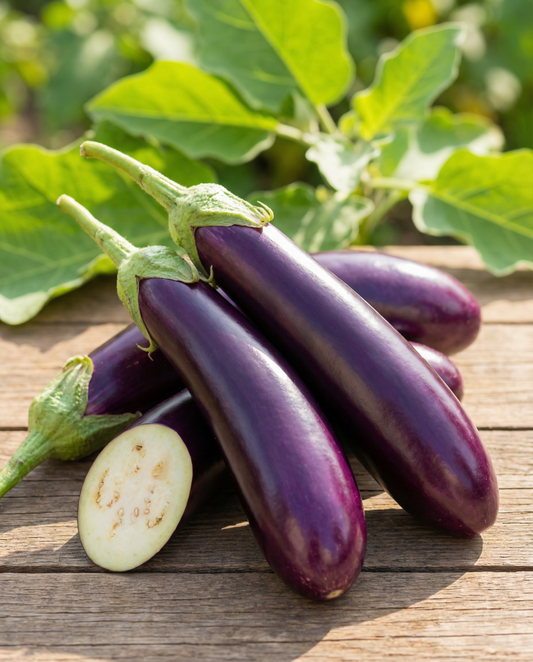 Eggplant Violetta Lunga Medium Early (Solanum melongena) – vegetable seeds from SeedsChoice
