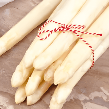 Argenteuil Samen (Asparagus officinalis) – mehrjährig