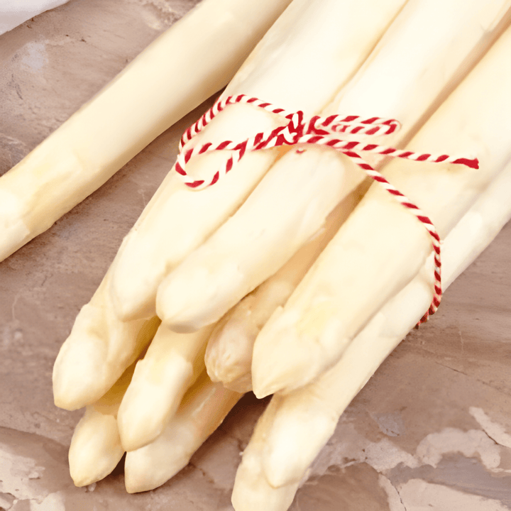 Argenteuil Samen (Asparagus officinalis) – mehrjährig