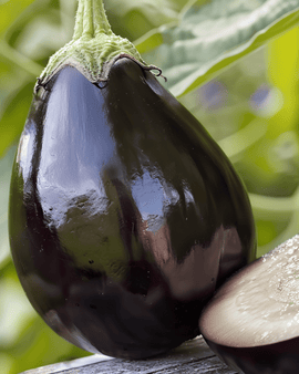 Eggplant Black Beauty Seeds Solanum Melongena Annual Variety