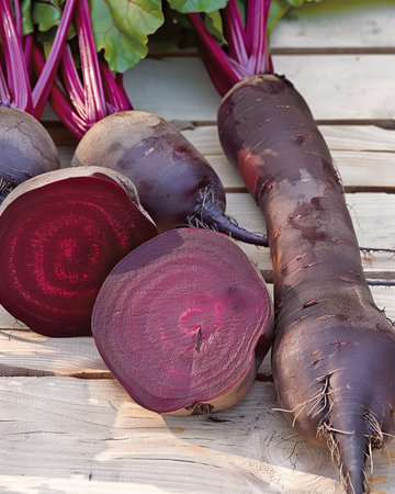 Rote Bete Cylindra Samen (Beta vulgaris) – einjähriges Gemüse