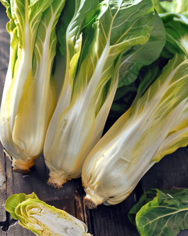 Chicoréesamen Cichorium Intybus zweijährig Videna