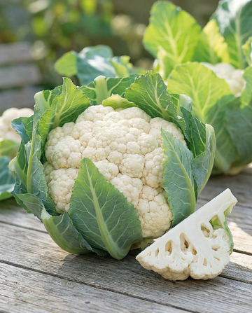 Blumenkohl Walcheren Winter 5 Harvest (Brassica oleracea) – zweijährige Gemüsesamen von SeedsChoice