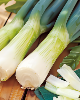 Leek Seeds Bluegreen Winter Allium Porrum Annual Vegetable