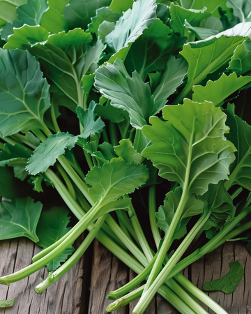 Turnip Leaves seeds (Brassica rapa) – annual vegetable