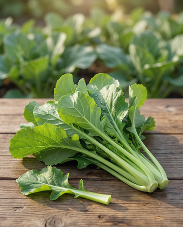 Namenia Greens (Brassica rapa) – einjährige Gemüsesamen von SeedsChoice