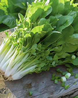 Leaf Lettuce Seeds Witte Dunsel Lactuca Sativa Annual Salad Greens