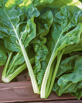 Swiss Chard Seeds Beta Vulgaris Common Green Annual Variety