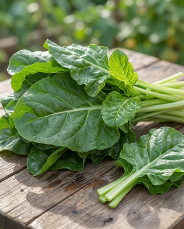 Mangold Common Green (Beta vulgaris) – einjährige Gemüsesamen von SeedsChoice