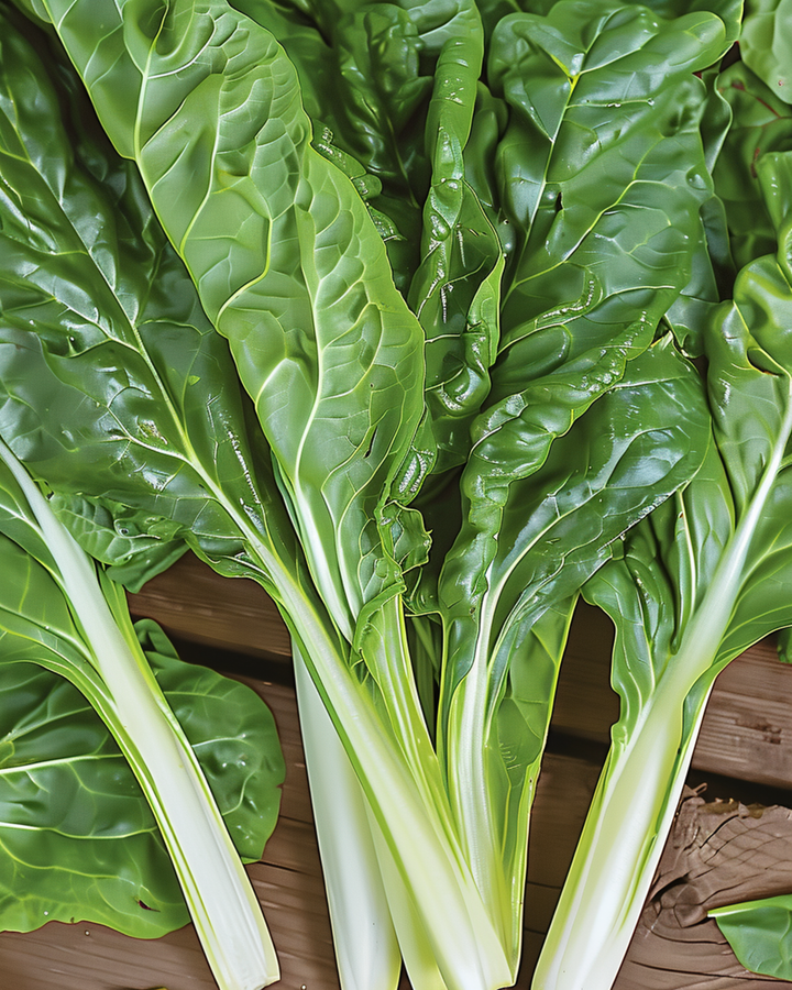 Mangold Lucullus Samen (Beta vulgaris) – einjähriges Gemüse