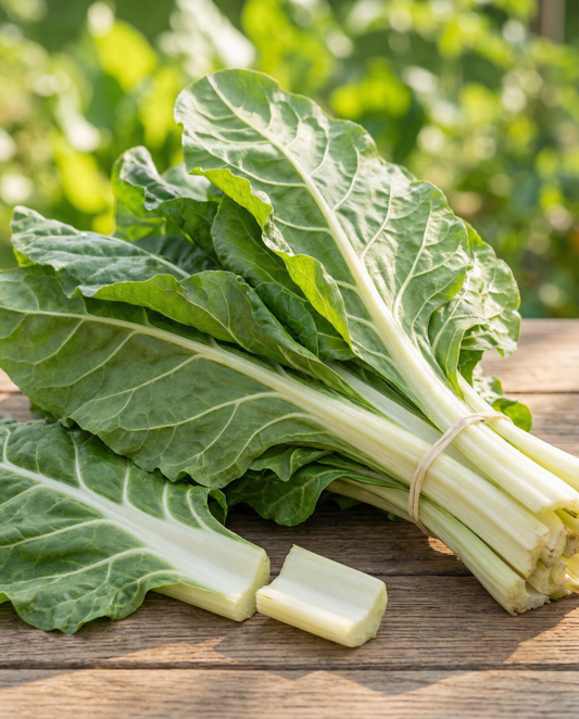 Mangold Lucullus (Beta vulgaris) – einjährige Gemüsesamen von SeedsChoice