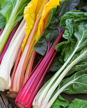 Multicolor Chard Bright Lights Rainbow seeds (Beta vulgaris) – annual vegetable