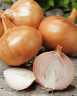 Shallot Seeds Creation F1 Allium Cepa Annual