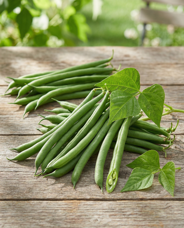 Buschbohne Domino 25g (Phaseolus vulgaris) – einjährige Gemüsesamen von SeedsChoice