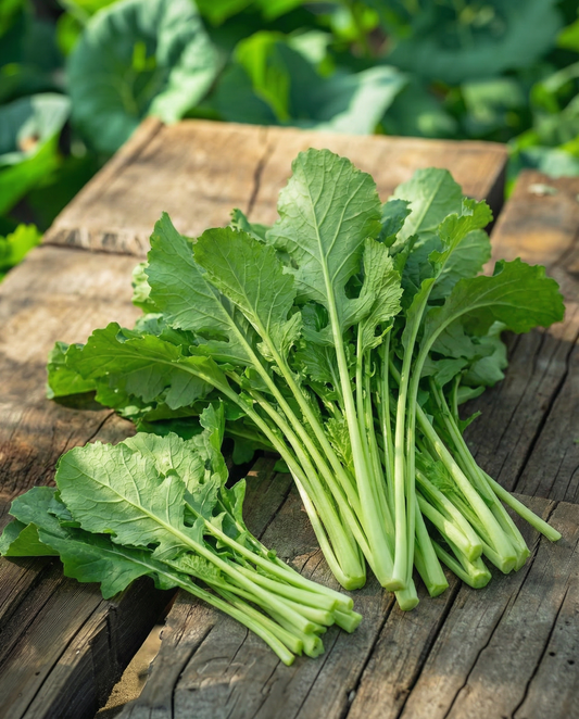 Turnip Greens Namenia Bladmoes 50g (Brassica rapa) – annual vegetable seeds from SeedsChoice