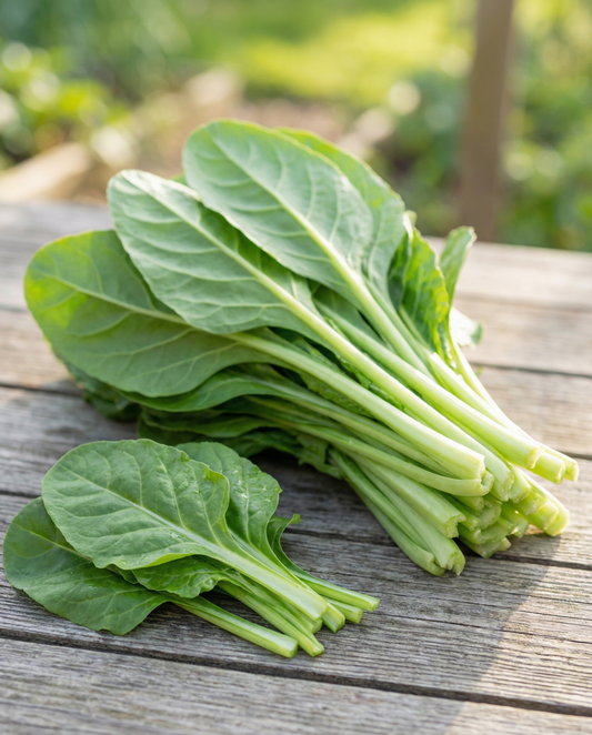 Swiss Chard Leafy Green 50g (Beta vulgaris) – vegetable seeds from SeedsChoice