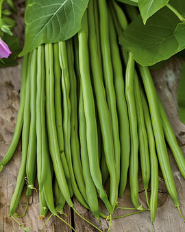 Dwarf Bean Seeds Nautica Phaseolus Vulgaris Annual 100g