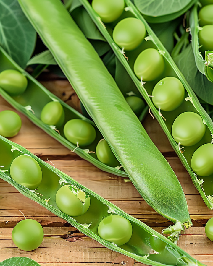 Pea Eminent seeds (Pisum sativum) – annual vegetable