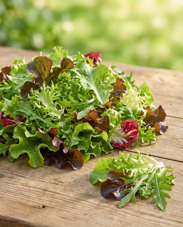 Französischer Salat Mesclun – Bio-Mischung, einjährige Samen von SeedsChoice