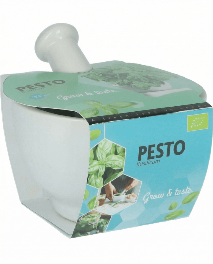 Basilikum Mortar Set Samen (Ocimum basilicum) – Bio-Küchenkraut