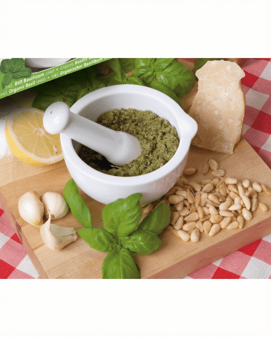 Basilikum Mortar Set (Ocimum basilicum) – Bio-Kräutersamen von SeedsChoice