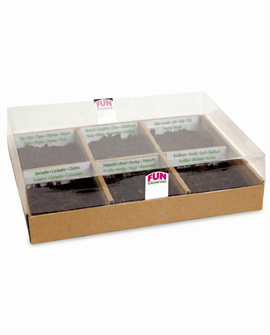 Culinary Herb Seeds Kit With 6 Varieties Starter Set