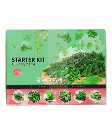 Kulinarisches Starter-Set mit 6 Sorten Samen – Anzucht-Set von SeedsChoice