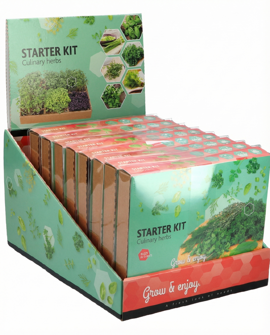 Kulinarisches Starter-Set mit 6 Sorten – Samen-Anzucht-Set von SeedsChoice