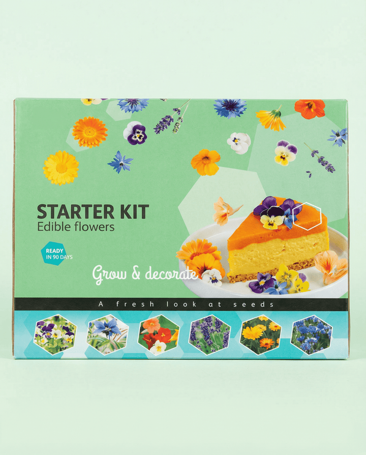 Essbares Starter-Set Samen (Borago officinalis) – Anzuchtset