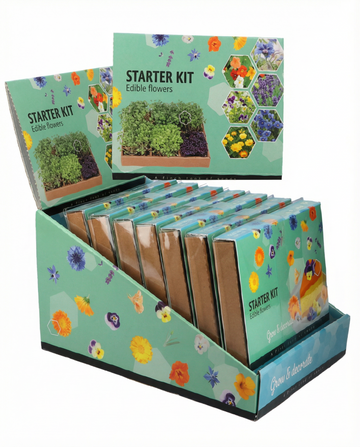 Borago officinalis – Essbares Starter-Set aus Samen gezogen