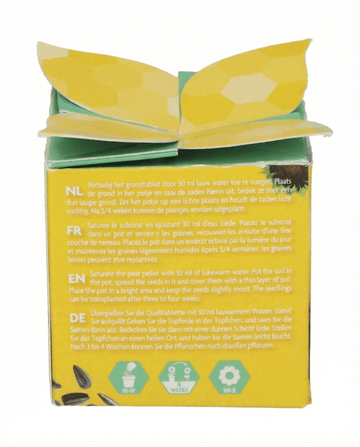 Zwerg-Sonnenblume Geschenk Samen – einjähriges Anzucht-Set von SeedsChoice