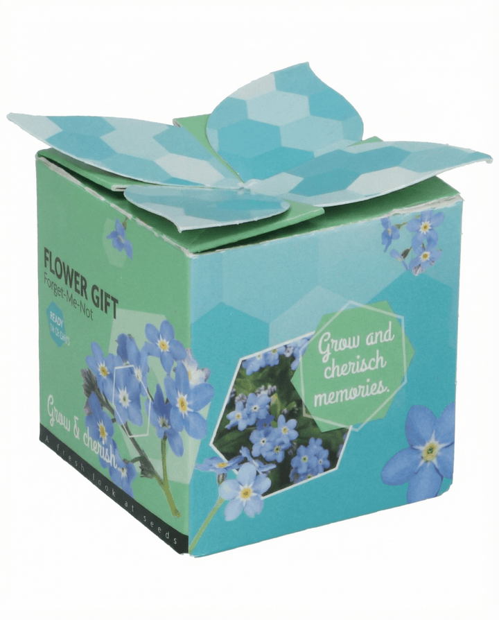 Vergissmeinnicht Terracotta Pot 0,1 g Samen (Myosotis alpestris) – zweijähriges Anzucht-Set