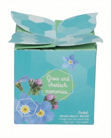 Vergissmeinnicht Terracotta Pot 0,1 g Samen (Myosotis alpestris) – zweijähriges Anzucht-Set von SeedsChoice