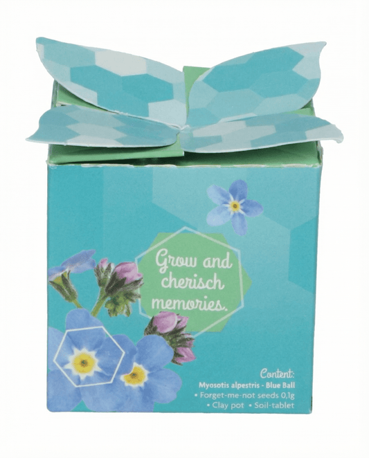 Vergissmeinnicht Terracotta Pot 0,1 g Samen (Myosotis alpestris) – zweijähriges Anzucht-Set von SeedsChoice
