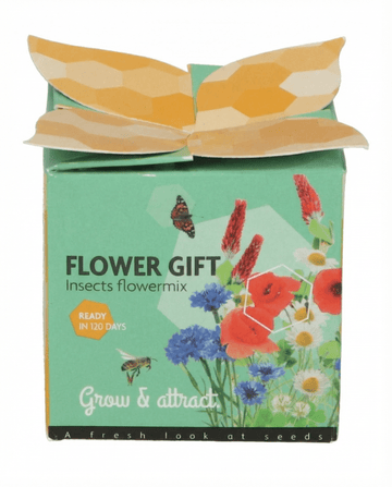 Insekten-Mix Terrakotta-Topf Geschenkset – Anzucht-Set Samen von SeedsChoice