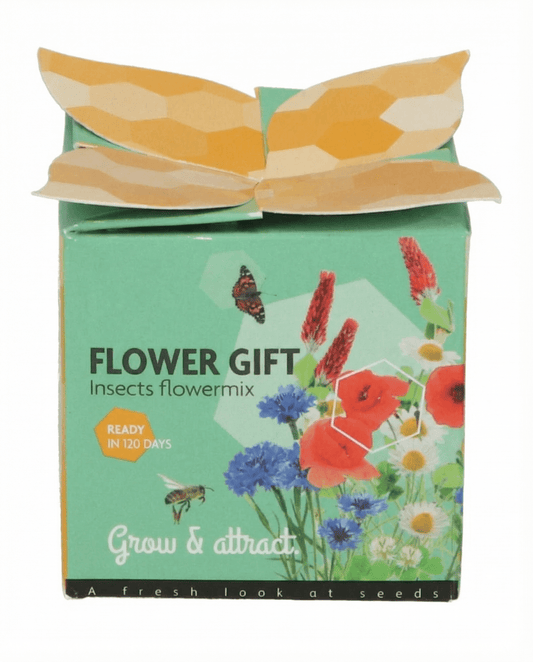 Insekten-Mix Terrakotta-Topf Geschenkset – Anzucht-Set Samen von SeedsChoice