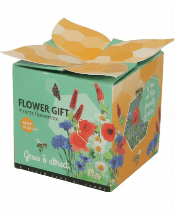 Insekten-Mix Terrakotta-Topf Geschenkset – Anzucht-Set von SeedsChoice